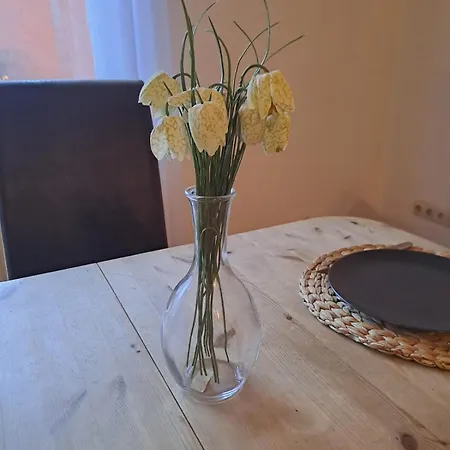Zentrale 3-zimmer-ferienwohnung Ilmenau